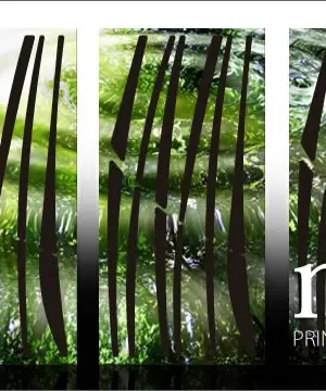 JOCAVI Panneau Acoustique personnalisé Motif ®