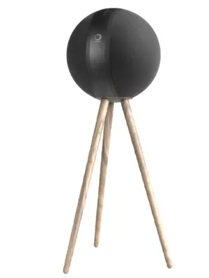 ELIPSON W35 + Enceinte Active Connectée Stéréo Multiroom 2 Voies 350 watts