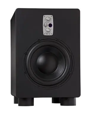 EVE TS110 Subwoofer Actif 10" de 250 Watts