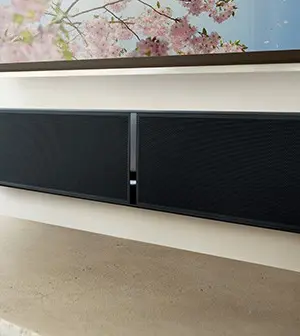 BLUESOUND PULSE SOUNDBAR Barre de Son Haut de Gamme 120 Watts