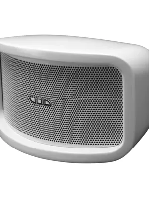 VOID CYCLONE 55 Enceinte Passive 2 Voies 120 Watts AES sous 16 Ohms