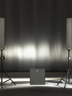 FOHHN LINEA LX-501 Enceinte Colonne Passive 700 Watts