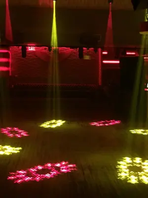 CHAUVET Rogue™ R1 Lyre Beam LED 132 Watts