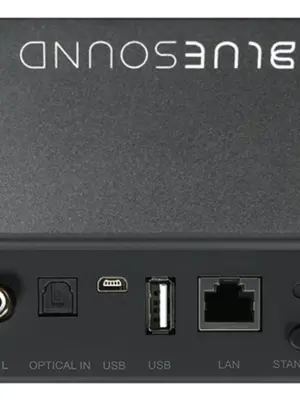 BLUESOUND PULSE SOUNDBAR Barre de Son Haut de Gamme 120 Watts