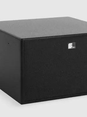 FOHHN ARC Series AS-10 Caisson de Basses Passif 300 Watts RMS