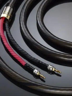 REAL CABLE® HD-TDC Câble d'Enceinte de Prestige 6,00mm² - Cuivre OCC - Technologie TDC HALLOW TUBE