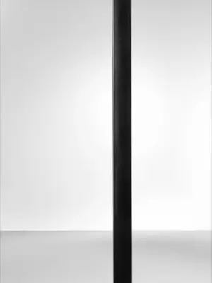 FOHHN LINEA LX-220 Enceinte Passive 900 Watts