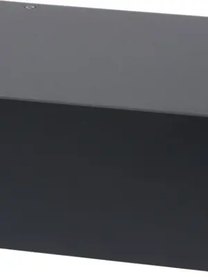 Pro-Ject AMP BOX MONO DS2 Ampli de Puissance Mono 120 Watts sous 8Ω