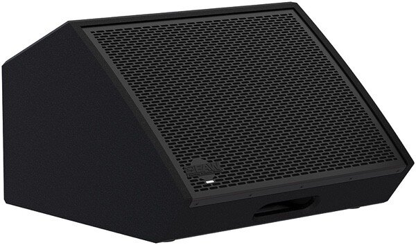 Produit EAW RADIUS RSX12M Enceinte Retour de Scène 2 voies 12" Bi-Amplifiée 500 Watts (LF) + 500 Watts (HF) Image